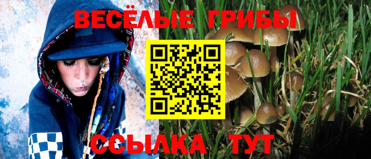 Галлюциногенные грибы Cubensis Малоярославец